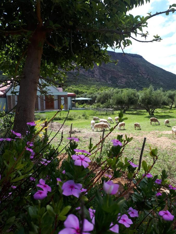 Baviaanskloof Landhuis Studtis Экстерьер фото